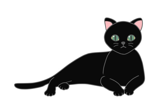 The black cat with green eyes is in a relaxed position, raising his upper body and staring straight at the front.