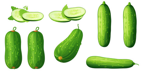 flat art collection of cucumber isolated on a white background as transparent PNG
