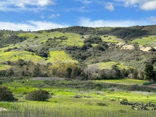 Shady Canyon Irvine California after rain 