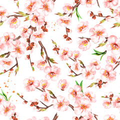 Spring blooming flowers. Hand drawn watercolor seamless pattern isolated on white background