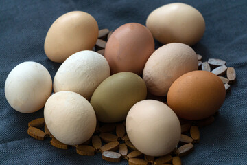 Multi-colored large chicken eggs from domestic chickens. - 749775400