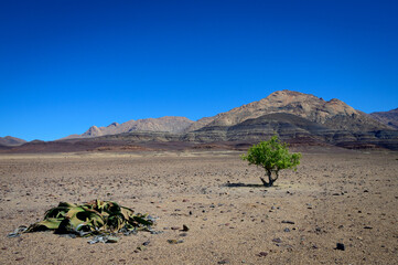 Brandberg mountian range