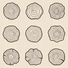 Fototapeten Tree rings vector line graphic set © natrot