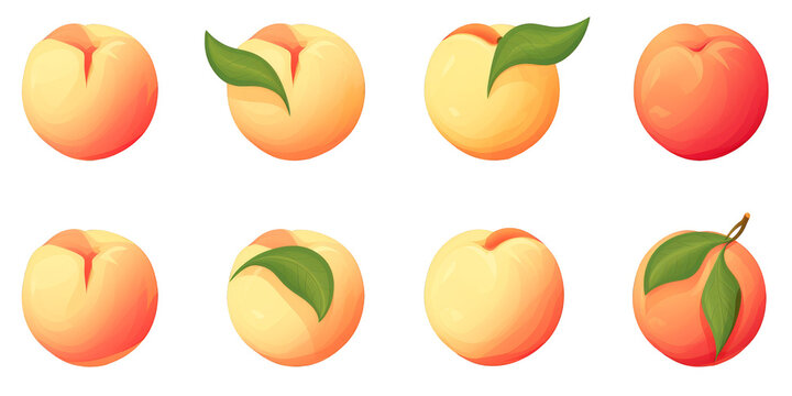 flat art collection of peaches isolated on a white background as transparent PNG