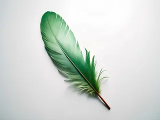Papier Peint photo Plumes green single feather isolated on white background 