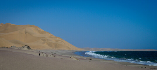 Namib desert dunes meeting the ocean