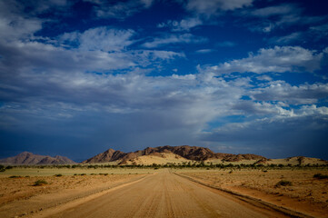 Dirt road corssing the Namib