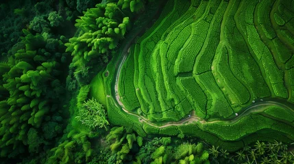 Poster de jardin Vert green landscape aerial view, beautiful wallpaper 
