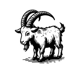 Goat hand drawn illustration vector