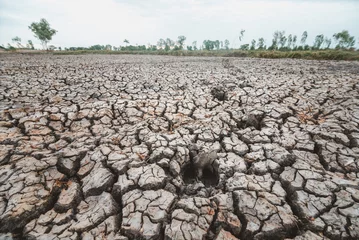 Zelfklevend Fotobehang Image of the drought ground.Problems arising from global warming. © yuthapong