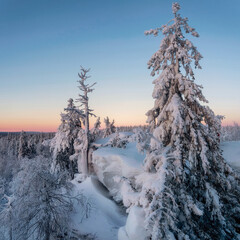 Nature landscape winter forest, a snowy cliff.