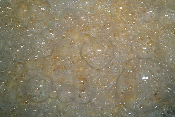 Gas bubbles on the surface of the braga.