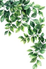Obraz premium Green leaves painted in watercolor on a white background. Perfect for nature designs