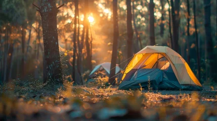Fotobehang Blured image of camping and tent with high iso grained picture under the pine forest in sunset at Pang-ung, pine forest park , Mae Hong Son, North of Thailand. © Emil