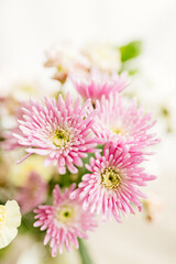 A bouquet of asters and gerberas in a glass vase against a bokeh background with sun rays. Pink...