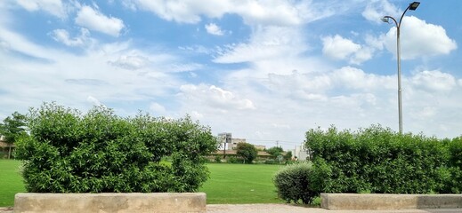 Clarity after Rain, Clear Blue Sky, Clouds & Grass