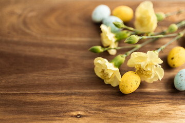 Yellow flowers and pastel yellow and blue colored eggs on a background of brown wood. Layout. Mockups. Springs background. Easter background. Easter eggs close up
