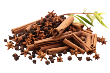 Pile of Cinnamon Sticks and Star Anise. A collection of aromatic cinnamon sticks and star anise arranged neatly on a plain white surface. on White or PNG Transparent Background.