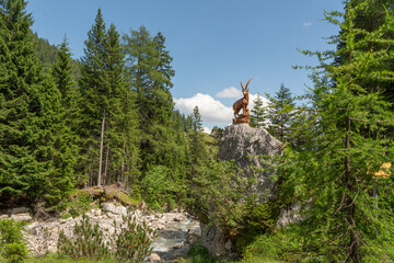Naklejka premium View on a wooden statue of an ibex in the Austrian mountains mounted on a big rock or bolder. The hiking trail is passing. Alpine pine trees at the side. A wild river is flowing at the bottom. Imst.