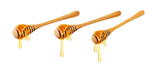 Honey dipper isolated, Organic product from the nature for healthy with traditional style, PNG...