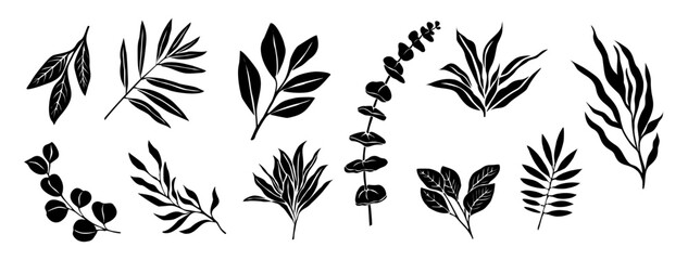 Silhouettes of Different Eucalyptus branches, leaves. Hand drawn botanical monochrome black vector isolated illustrations for greeting, invitation cards, logo, tattoo, wall art, packaging design.