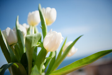 Naklejka premium white tulips against the sky
