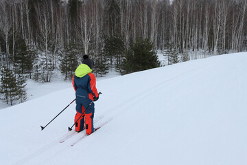 A boy in overalls goes skiing along a ski slope in the forest
