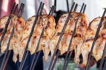 Closed up Thai style grilled chicken in wooden stick ready to serve