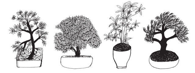 A set of four Asian bonsai doodle illustration