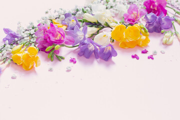 spring flowers on pastel pink background