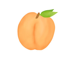 Watercolor tropical set of fruits on a white background