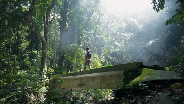 A man explores a tropical rainforest to find a hidden waterfall