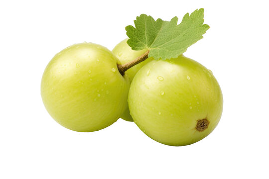 Two Green Grapes With a Leaf. Two vibrant green grapes with a single leaf attached to one of them are placed on a plain white background. on White or PNG Transparent Background.