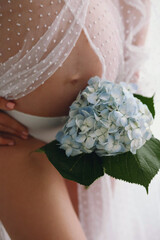 Close up photo of pregnant woman holding a blue hydrangea flower near her pregnant belly
