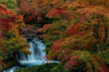 紅葉に囲まれた流れ落ちる滝