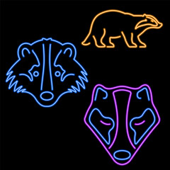 badger group of neon icons, vector illustration, on a black background.