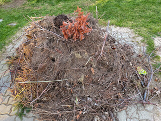 Pile of garden waste to burn in the garden