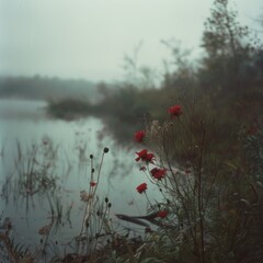 a body of water with a bunch of red flowers in the foreground and a foggy sky in the background.