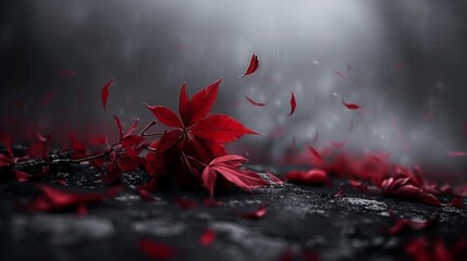 a red flower sitting on top of a wet ground next to a black and white picture of a leafy plant.