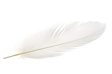 White Feather Resting. A single white feather lies delicately on a plain white background, creating a stark contrast and drawing attention to its elegant and simple beauty.