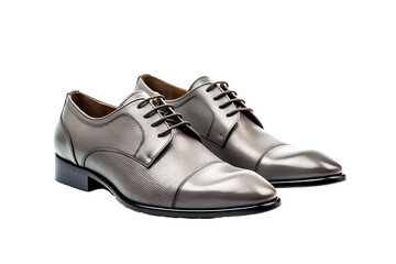 A pair of gray fashion shoes stands out against a white background.