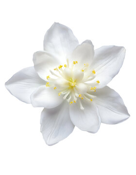 Гноммен анальный порно