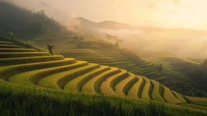 Poster Golden morning light bathes terraced rice fields in a misty, ethereal glow. © VK Studio