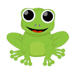 Grenouille verte de face, souriante, avec de grands yeux, sur fond blanc
