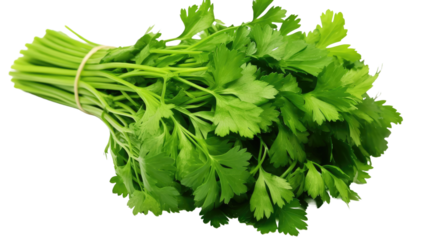 Bunch of Green Parsley. A cluster of fresh green parsley leaves arranged neatly on a clean white surface. The green color pops against the stark white background creating a visually striking contrast.