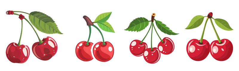 Cherry, different versions, transparent vector illustration or white background, isolated