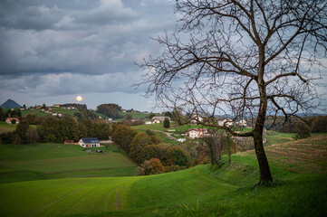 Obraz premium landscape with trees and full moon