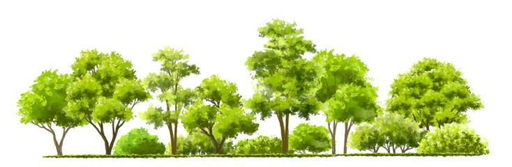 Vertor set of green tree,plants side view for landscape elevations,element for backdrop,eco environment concept design,watercolor greenery scene