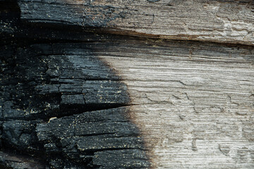 wood texture background burning and turning into wood charcoal. photo concept for forest burning, illegal logging causing climate change