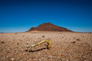 Rocky hill in the Namib
